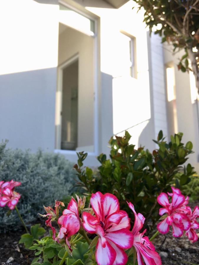 Vermont Hermanus - Views, Sunny, Right On The Sea Exteriör bild